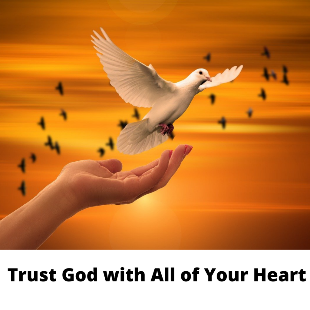Trust God With All of Your Heart