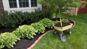 Low Cost Home Landscaping