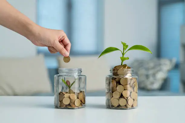 Money tree represent as savings