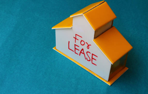 gross lease vs triple net